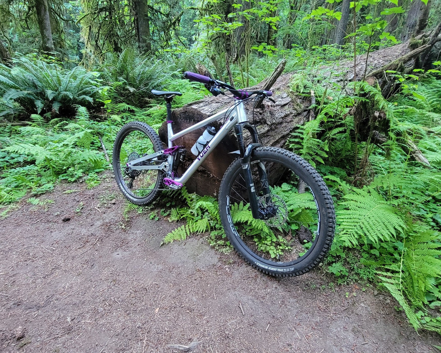 A silver and black mountain bike with purple accents is parked on a dirt trail in a lush green forest with ferns and a fallen log.