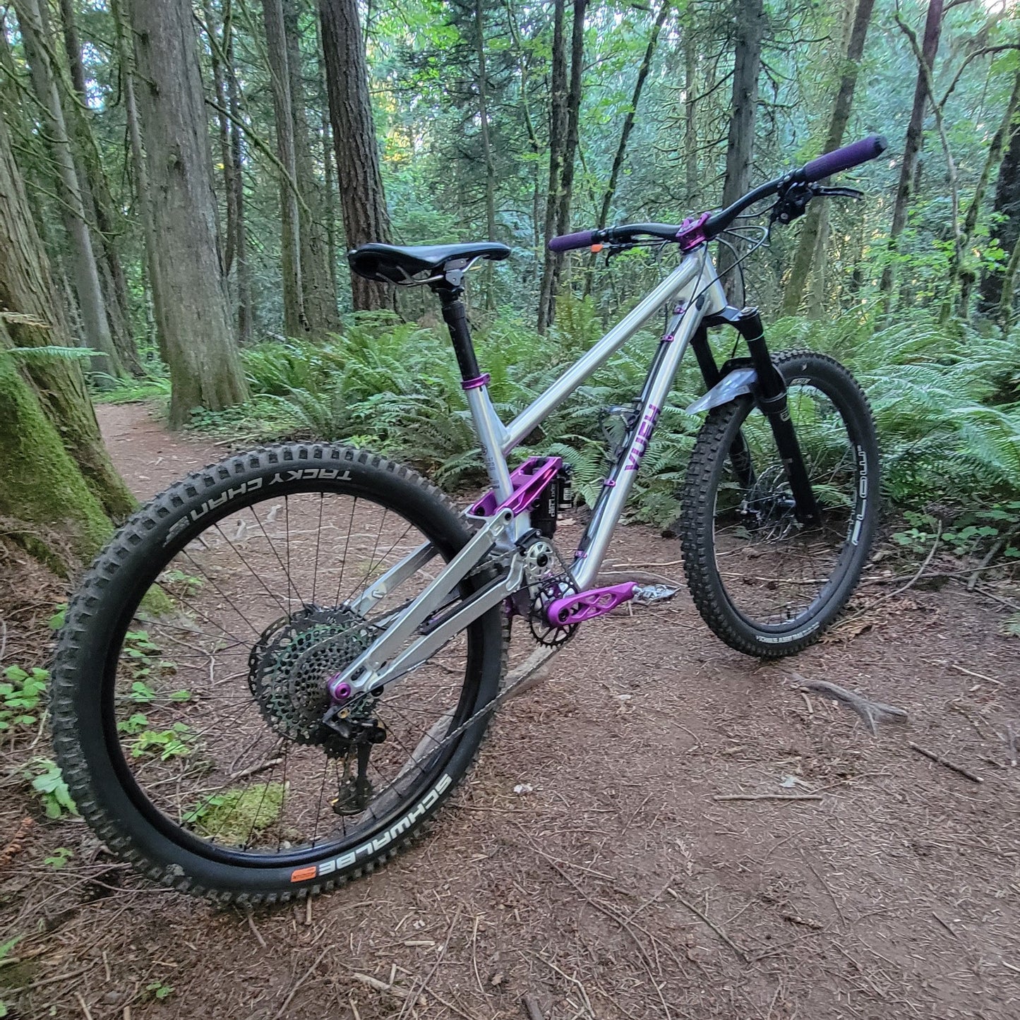 A mountain bike with a silver frame and purple handlebar grips resting on a dirt trail in a forest.